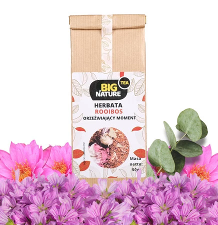 Herbata ROOIBOS ORZEŹWIAJĄCY MOMENT 50g
