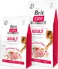 BRIT CARE Cat GF Adult Activity Support 2kg