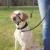 TRIXIE Szelki treningowe Top Trainer L