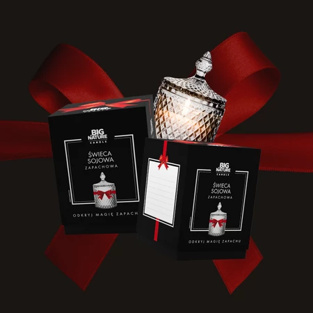 Świeca soj zap. insp. DIOR FAHRENHEIT 485g PREZENT