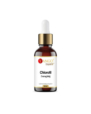 YANGO Chlorofil z morwy białej w kroplach (30 ml)