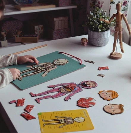 Janod Układanka magnetyczna Ciało człowieka