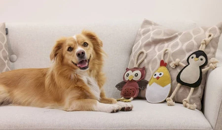 KERBL Zabawka zamszowa Sowa dla psa 25cm