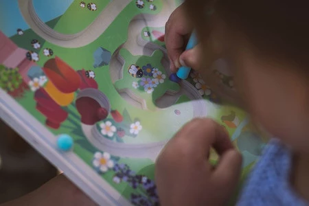 Janod Magnetyczny labirynt Łąka