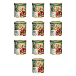 Zestaw 10x PURE NATURE DOG Wild Huhn - dziczyzna i kurczak z żurawiną dla dorosłych psów (800g)