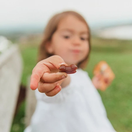 Smileat Triboo, BIO Sminolas, Żelki owocowe bez cukru Jabłko i Jagoda, 25g