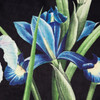 ZASŁONA GOTOWA MAJA 140 X 250 CM CZARNY
