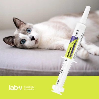 Lab-V CarboVet CAT Preparat o właściwościach odtruwających dla kotów 10ml