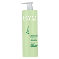 Energy System Shampoo szampon przeciw wypadaniu włosów 1000ml