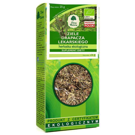 Dary Natury Drapacz lekarski ziele herbatka 25 g EKO