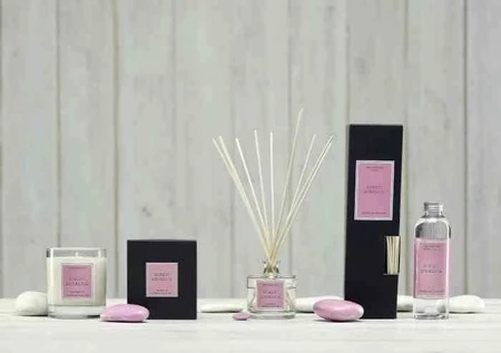 CM - Dyfuzor Santiago Reed 100ml. Nordic angelic