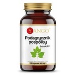 Yango || Podagrycznik pospolity
