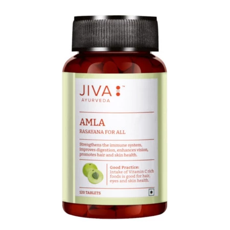 JIVA Ayurveda Amla 120 tabl.