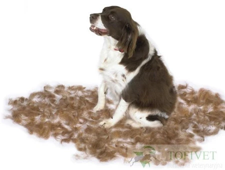 FURminator do podszerstka u psów długowłosych M