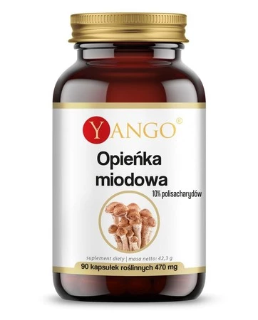 YANGO Opieńka miodowa (90 kaps.)