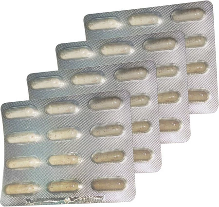 NUTRAVET Nutraflora wspomagnie jelit i odporności psów i kotów 48 kaps.