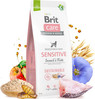 BRIT Care Dog Sustainable Sensitive Insect Fish 12kg