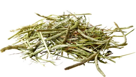 VERSELE LAGA Nature Timothy Hay sianko tymotkowe 1kg