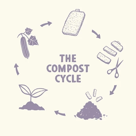 GreenAware, Roślinna myjka do naczyń luffa