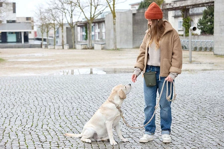 PALOPA Torebka saszetka na smakołyki dla psa Karl dark olive M