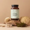 Aura Herbals Mycodrop, Lion's Mane 30:1, 30% beta-glukan 60 kaps.