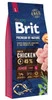 BRIT Premium by Nature Junior Large 15kg