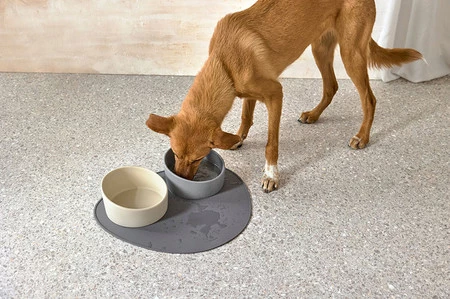 PALOPA Mata pod miskę dla psa Loua anthracite