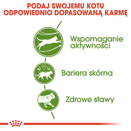 ROYAL CANIN Outdoor 30 4kg