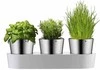 WMF - Zestaw 3 doniczek na zioła, Gourmet