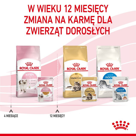ROYAL CANIN KITTEN w galaretce 85g