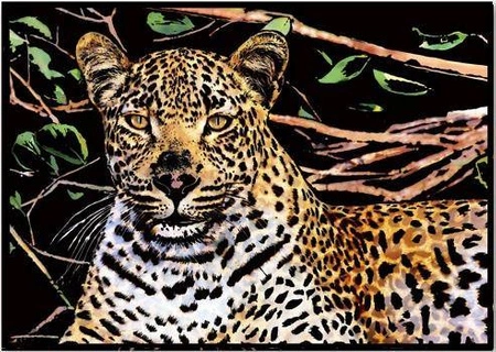 Magiczna zdrapka Leopard -