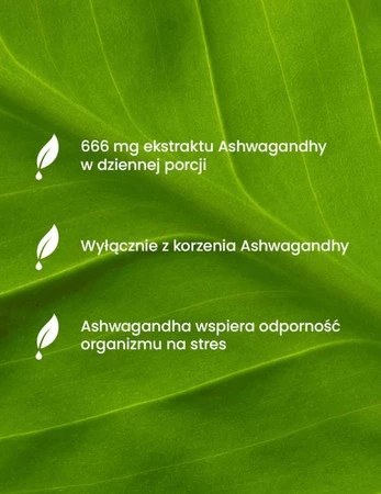 ESSENSEY ASHWAGANDHA FORTE 90cap