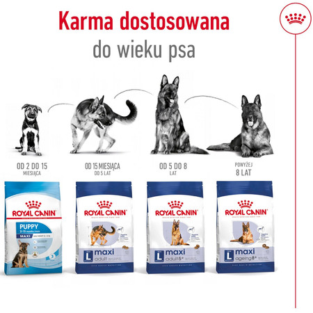 ROYAL CANIN Maxi Ageing 8+ L 15kg