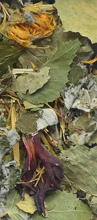 KORONA NATURY Natural-Vit Zioła dla Koszatniczek 70g