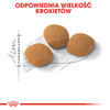 ROYAL CANIN Exigent Protein Preference 400g