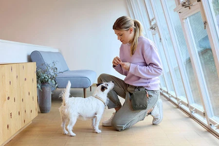 PALOPA Torebka saszetka na smakołyki dla psa Greta dark olive L