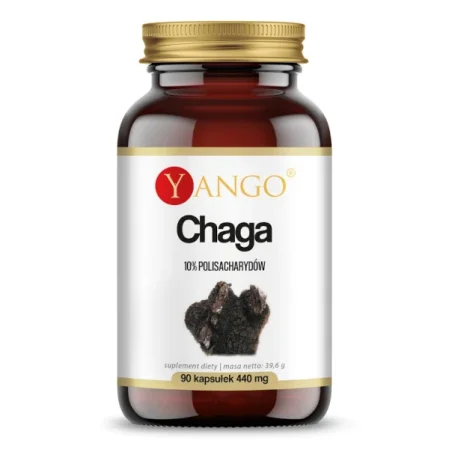 Yango Chaga ekstrakt 10% polisacharydów 90 kaps.