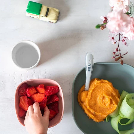 Beaba Komplet naczyń z silikonu z przyssawką eucalyptus