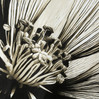 Komplet pościeli 160X200 70X80/X2