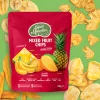 Super Munchies Chipsy Owocowa Mieszanka 60g