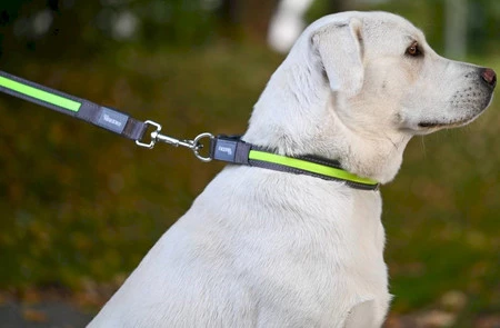 KERBL Smycz podświetlana Light / Reflex Żółta 120cm x 25mm