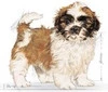 ROYAL CANIN Shih Tzu Puppy 1,5kg