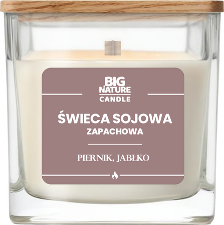 Big Nature Świeca sojowa o zap. Piernik i Jabłko 220g