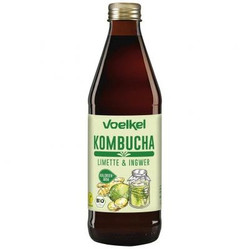 Kombucha limonka-imbir BIO 330 ml