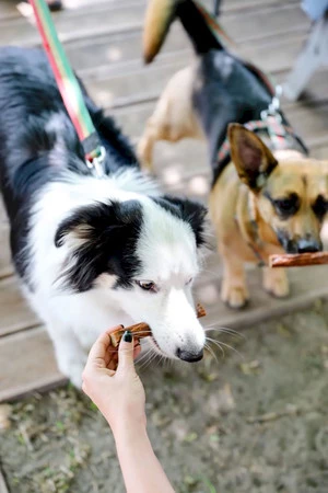 Happy Snacky NAPSANOSY Kabanosy z Wołowiny 7szt.