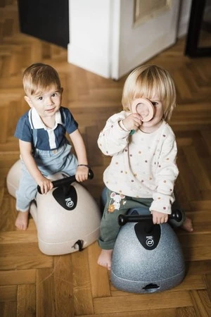 SCOOTANDRIDE My First Ewolucyjny jeździk pchacz 3w1 6 m+ Steel