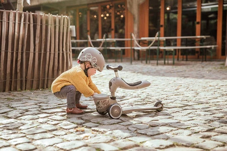 SCOOTANDRIDE Highwaykick 1 Lifestyle 2w1 Jeździk i hulajnoga z zamykanym schowkiem 1-5 lat Brown Lines