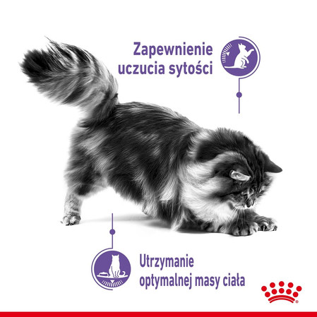 ROYAL CANIN Appetite Control Care 400g