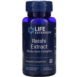 Grzyb Reishi ekstrakt (60 kaps.)