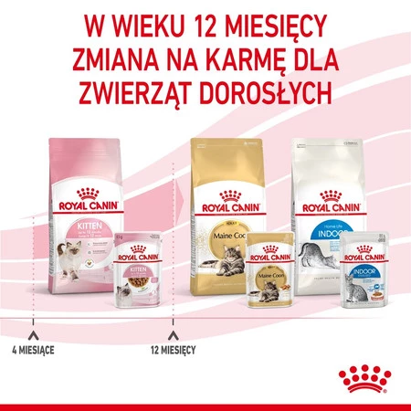 ROYAL CANIN KITTEN w sosie 85g